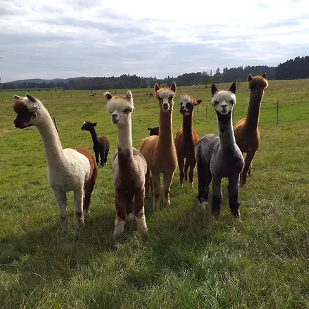 In Kierspe, Sauerland Lägenhet