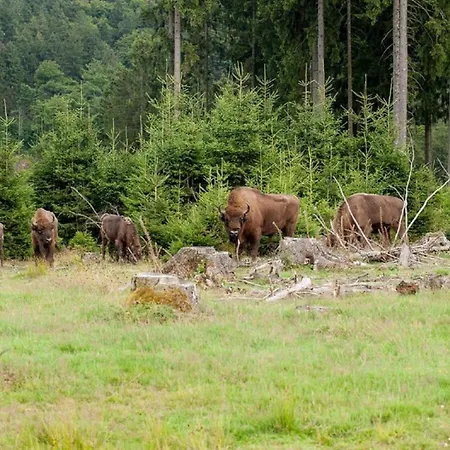 In Kierspe, Sauerland